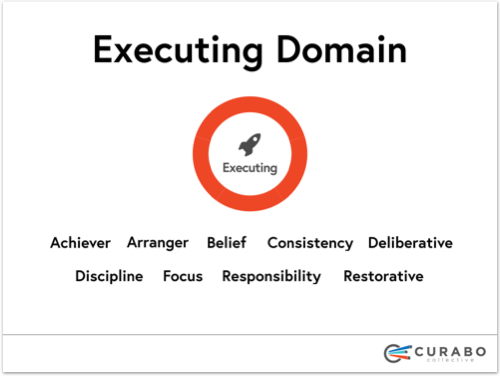 Executing Domain-branded500